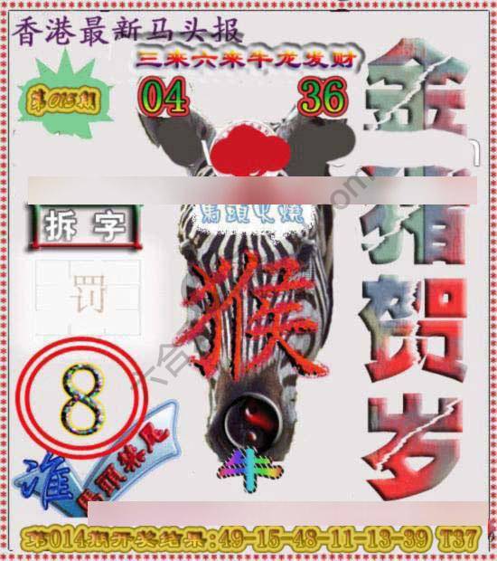 香港马头报