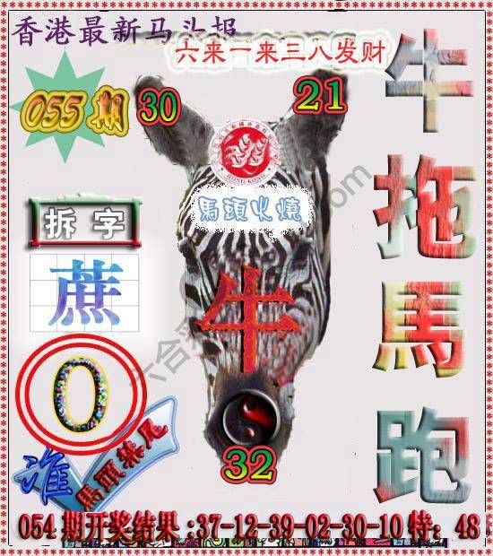 香港马头报