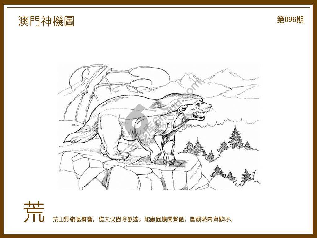 澳门神机图