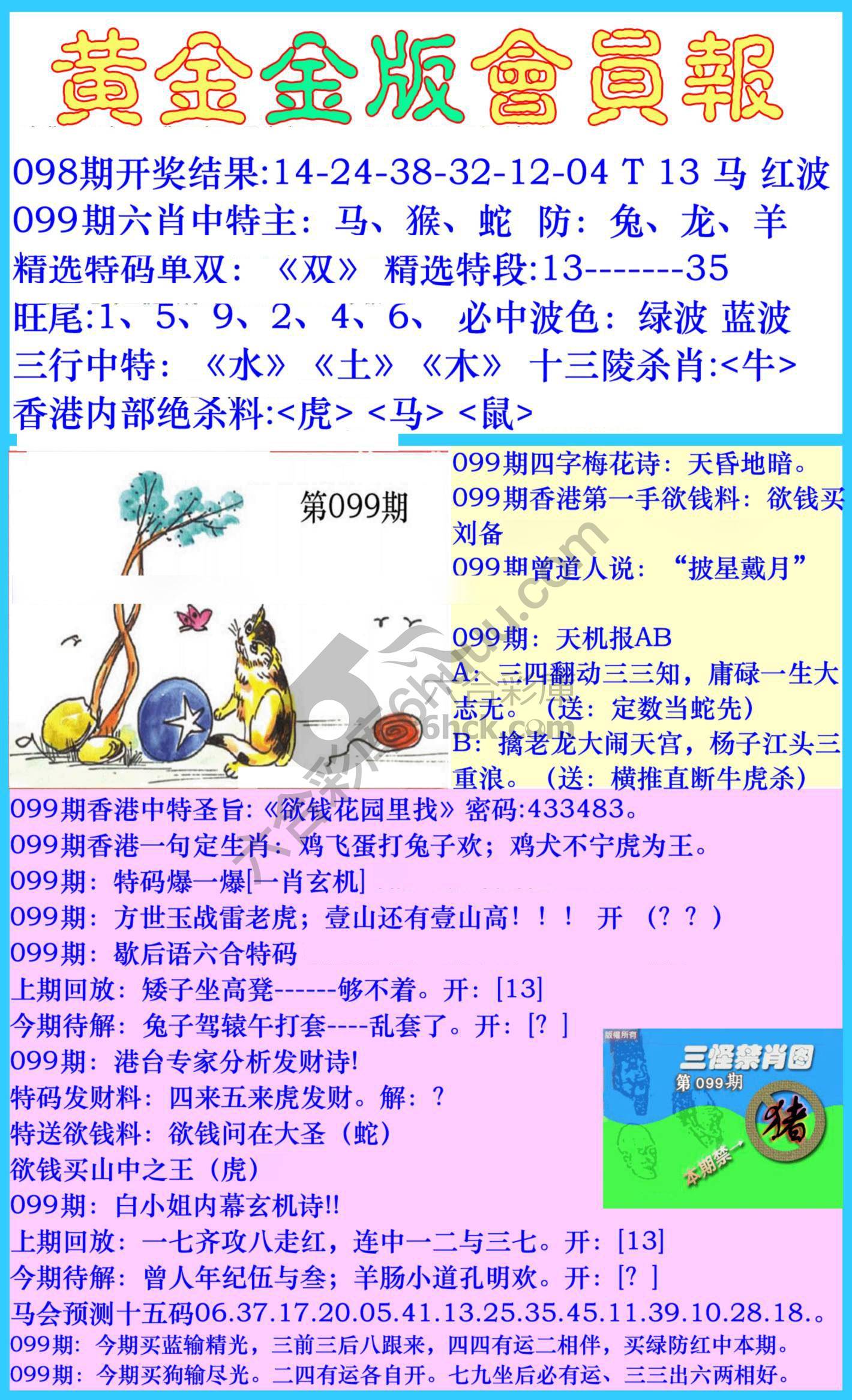 黄金金版会员报