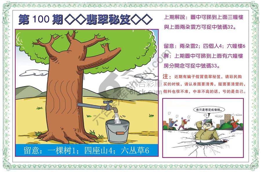 富婆翡翠秘籍图
