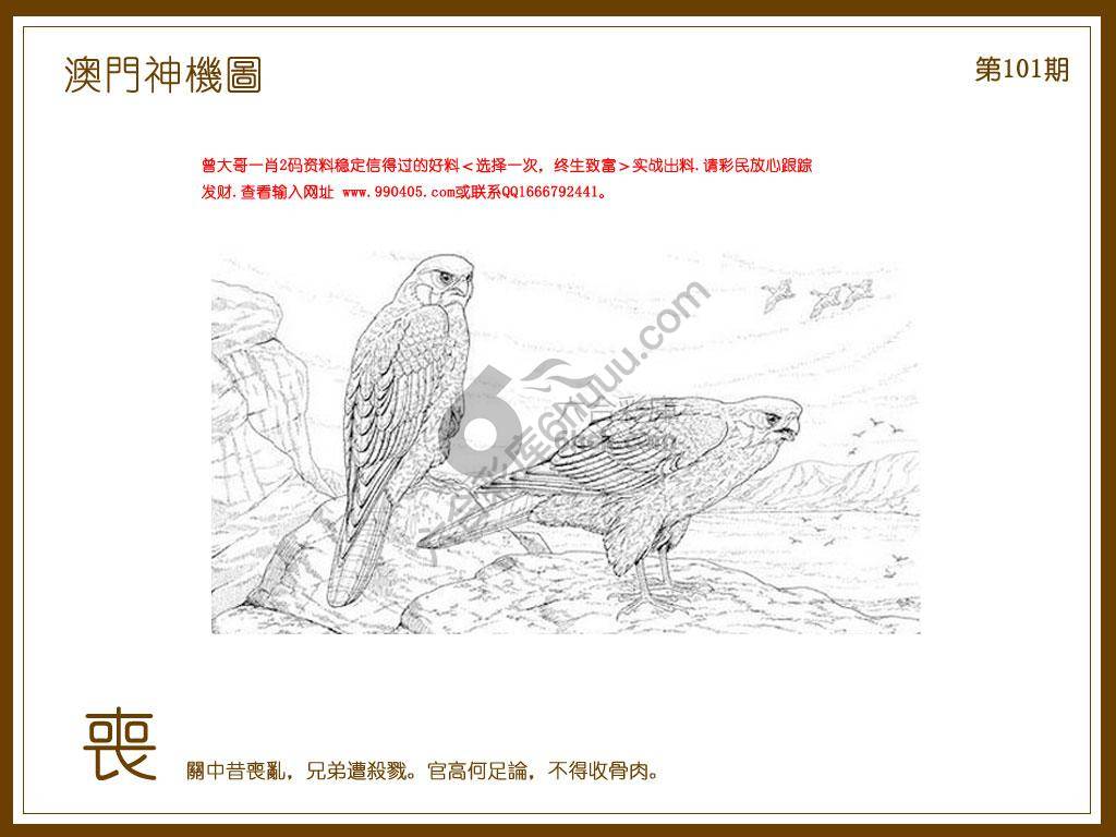 澳门神机图
