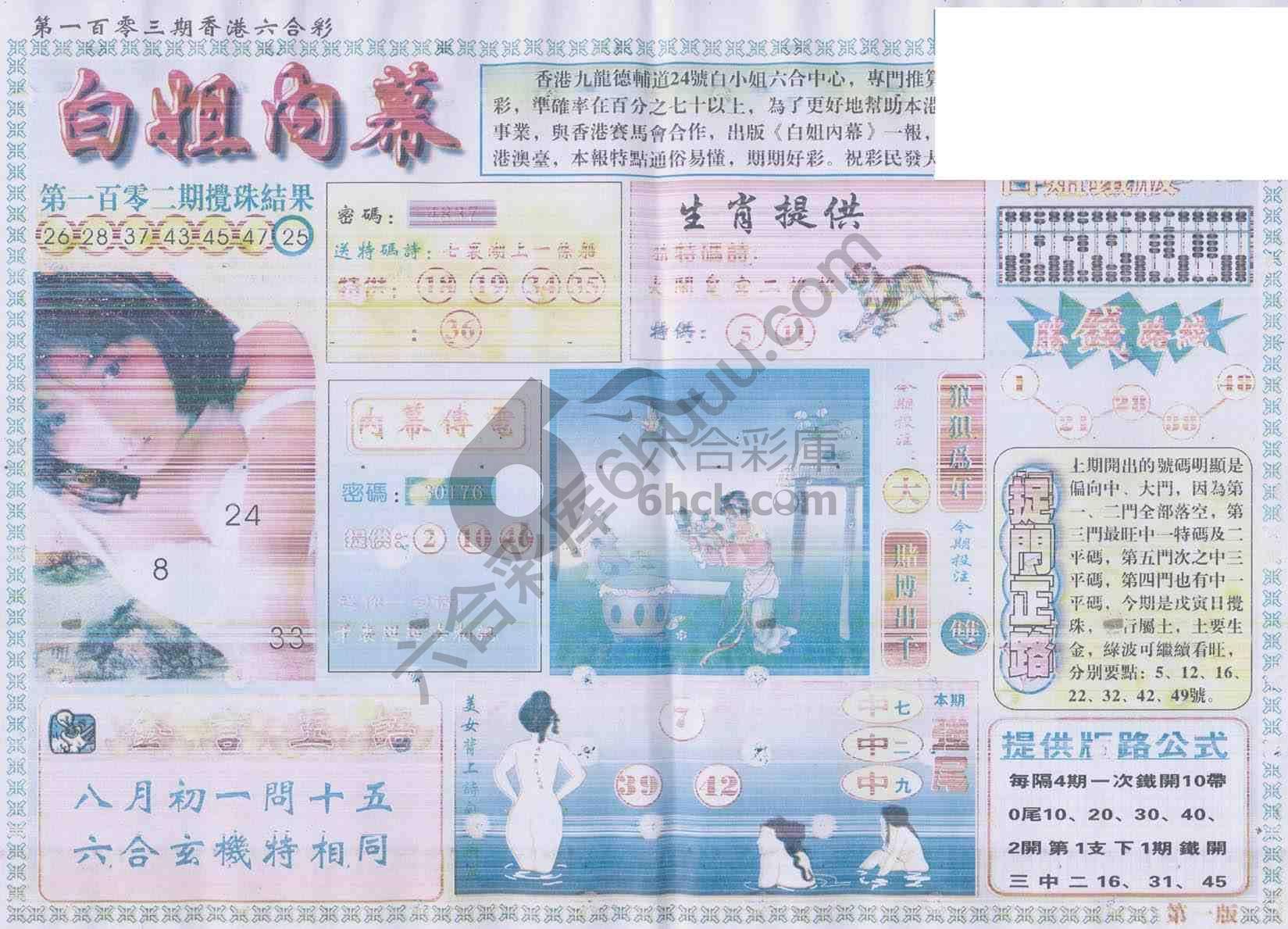白姐内幕