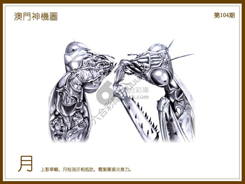 澳门神机图