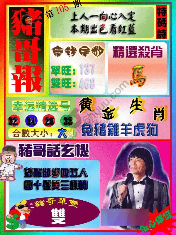 猪哥报