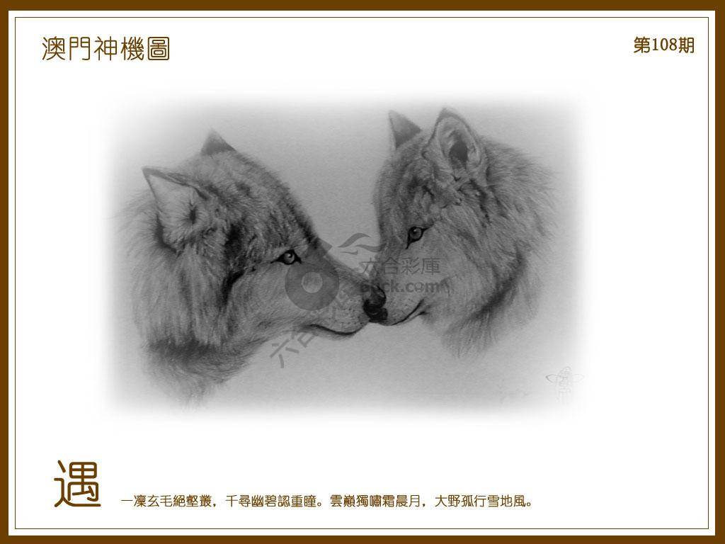 澳门神机图