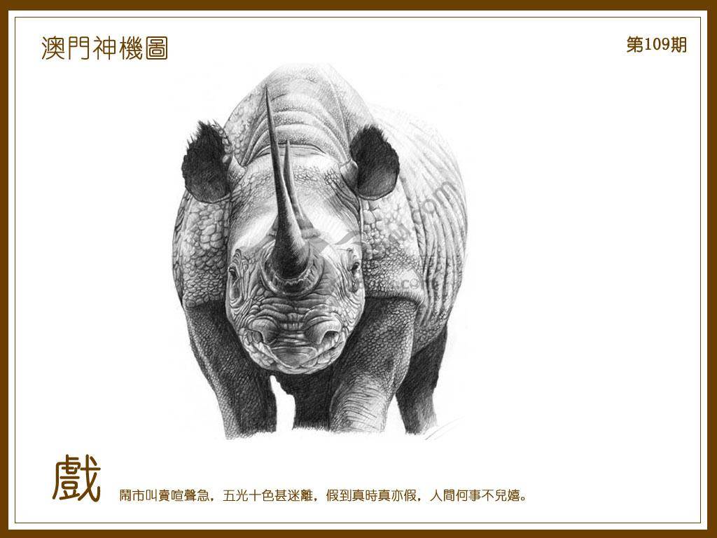 澳门神机图