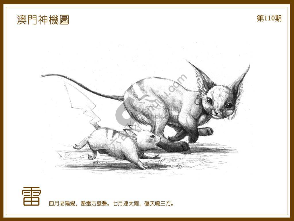 澳门神机图