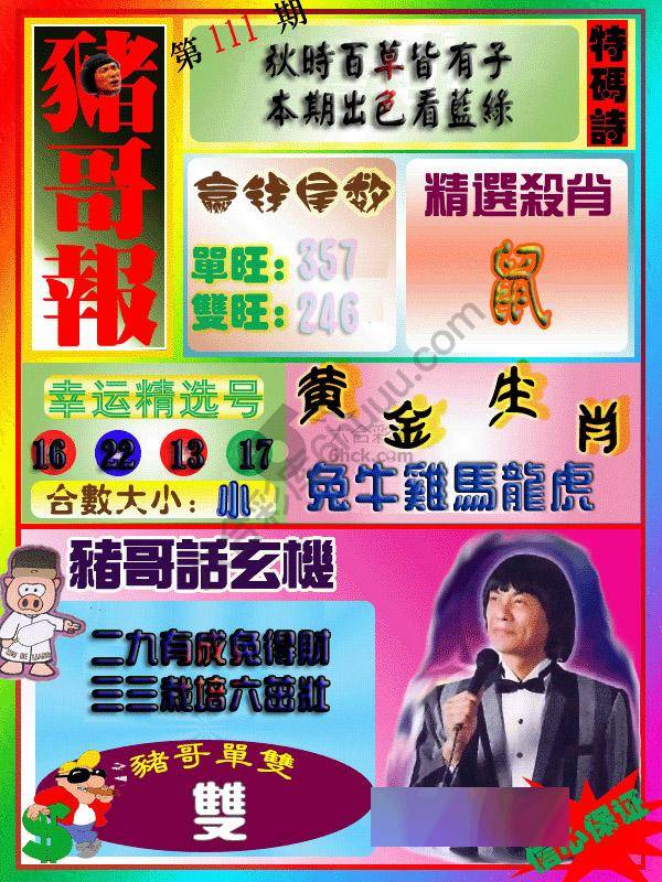 猪哥报
