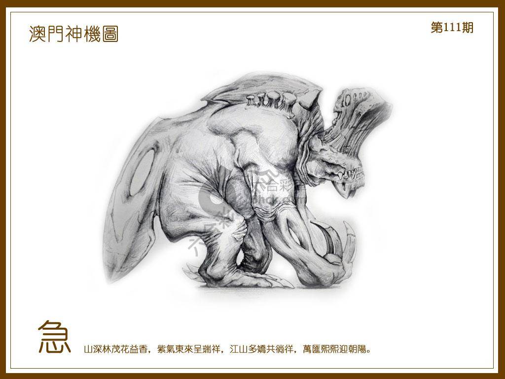 澳门神机图