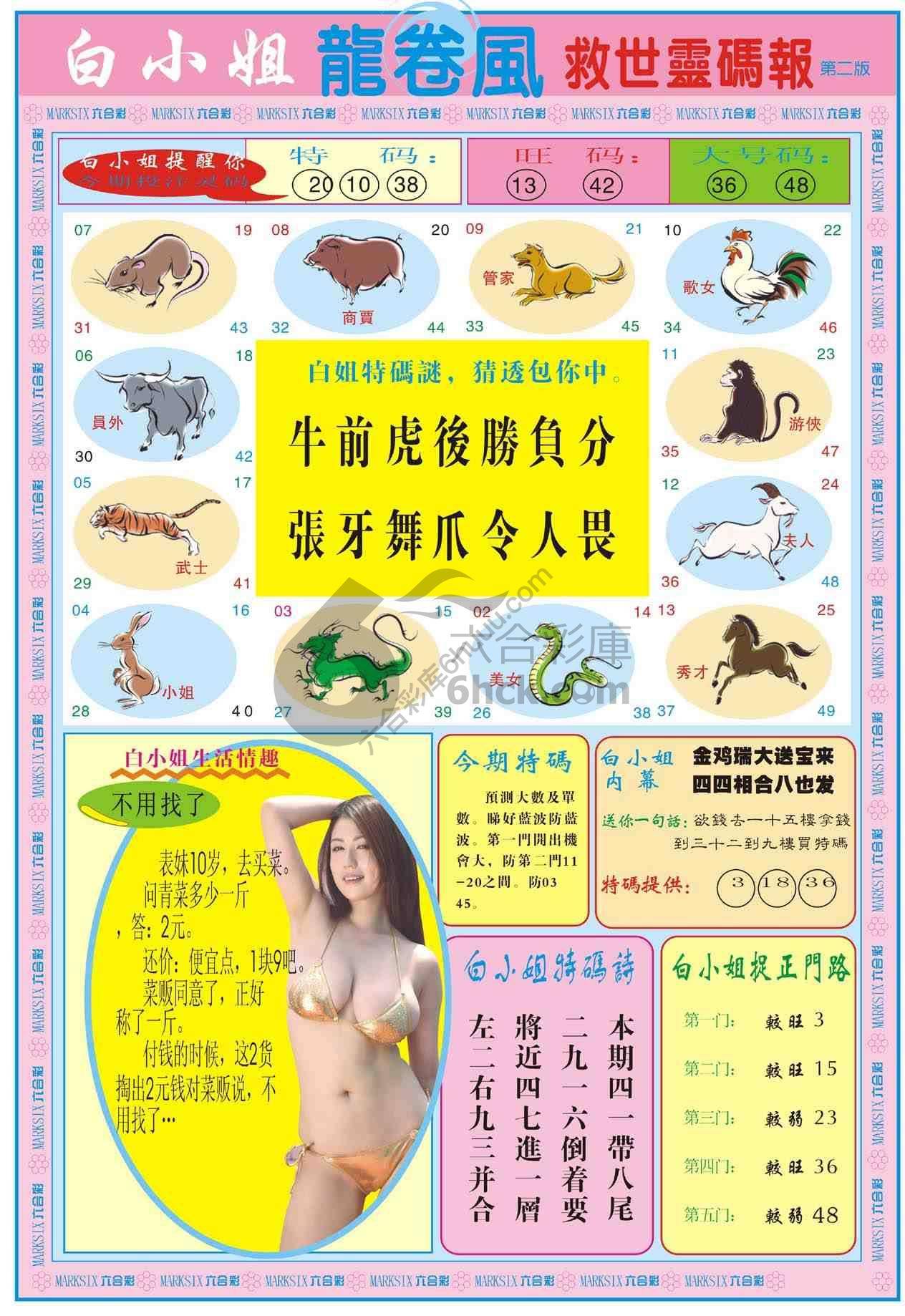 白小姐救世灵码报