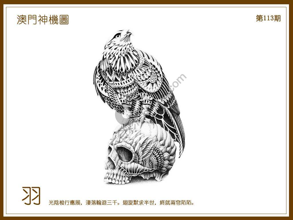 澳门神机图