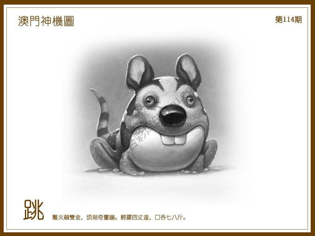 澳门神机图