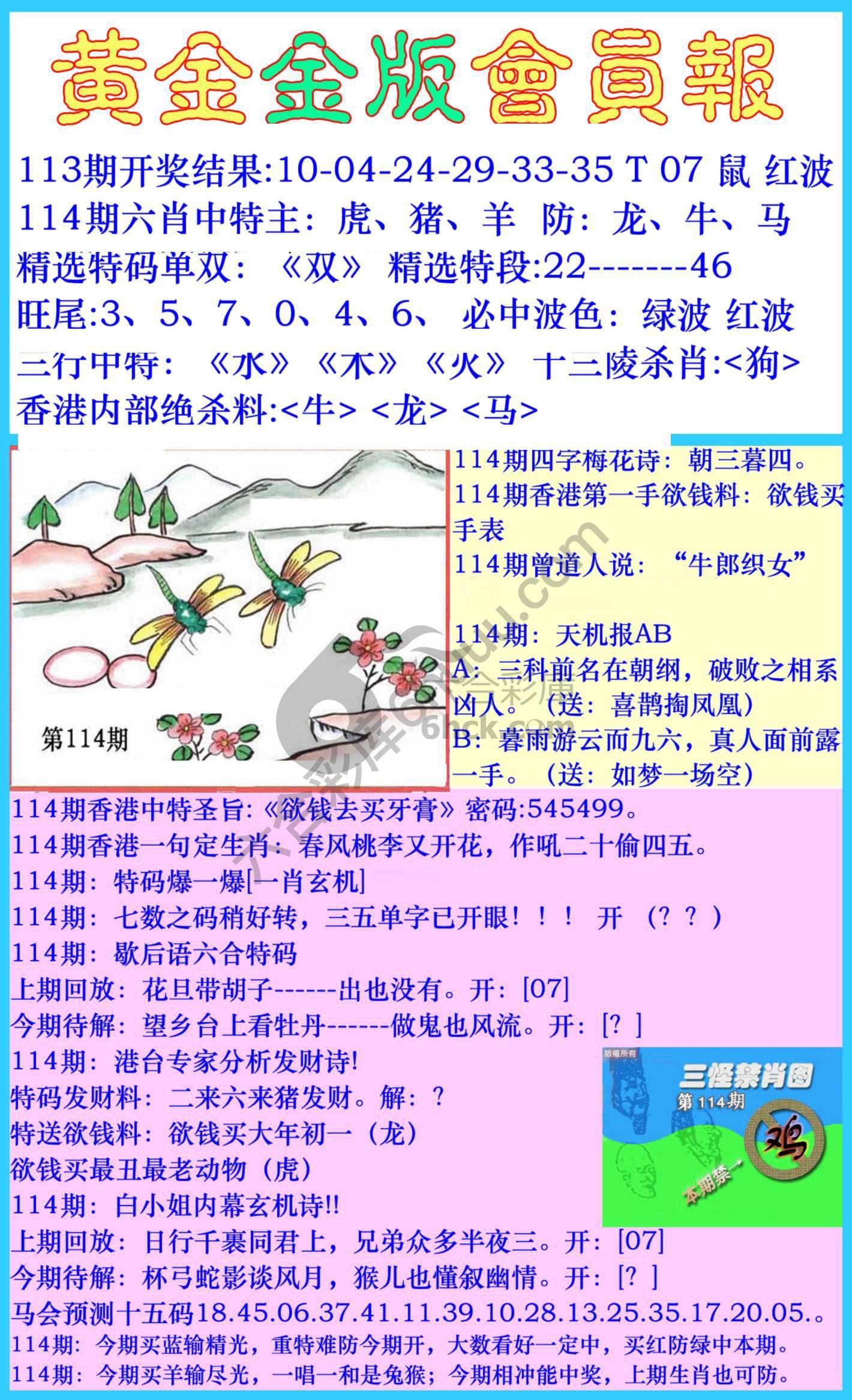 黄金金版会员报