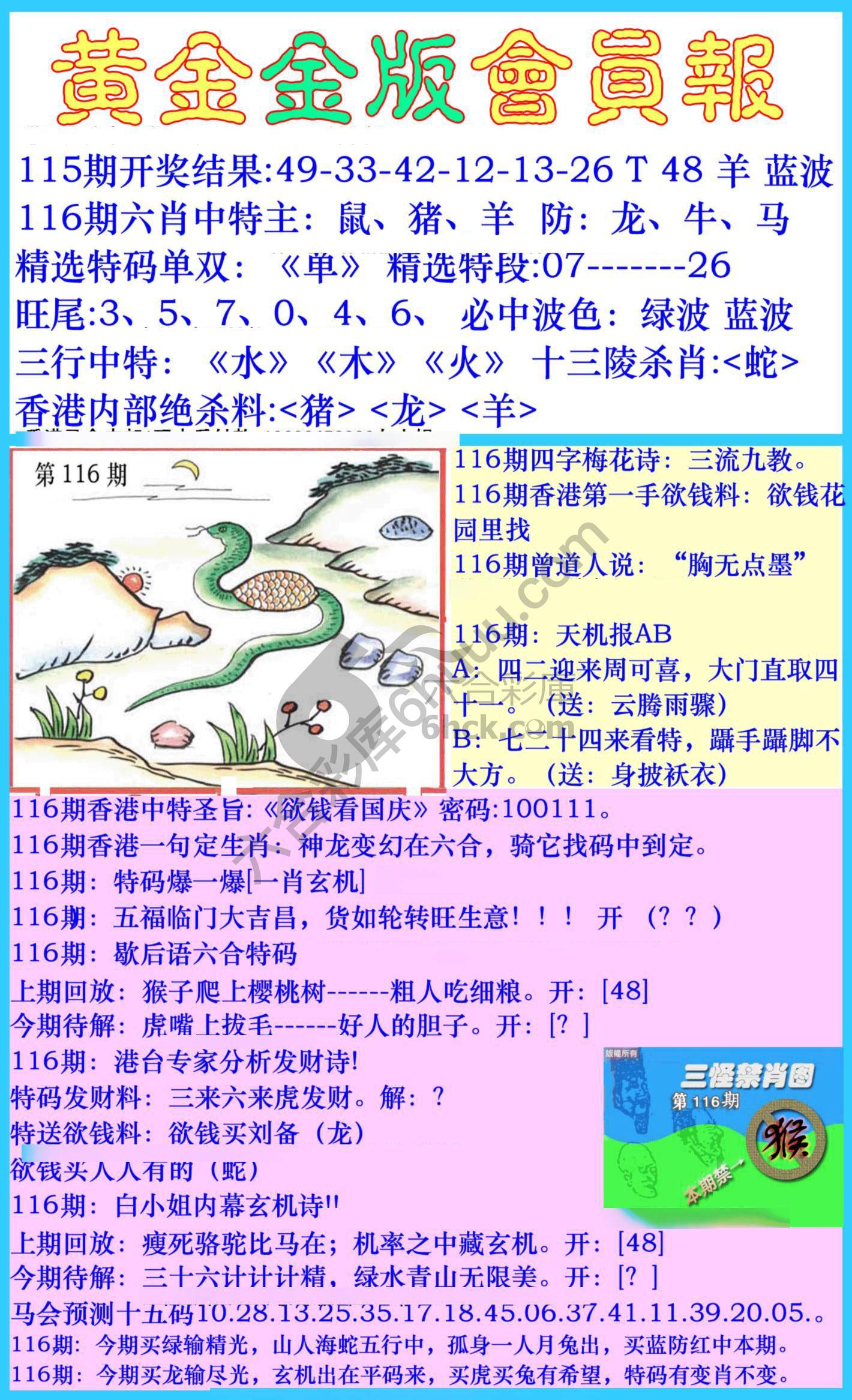黄金金版会员报