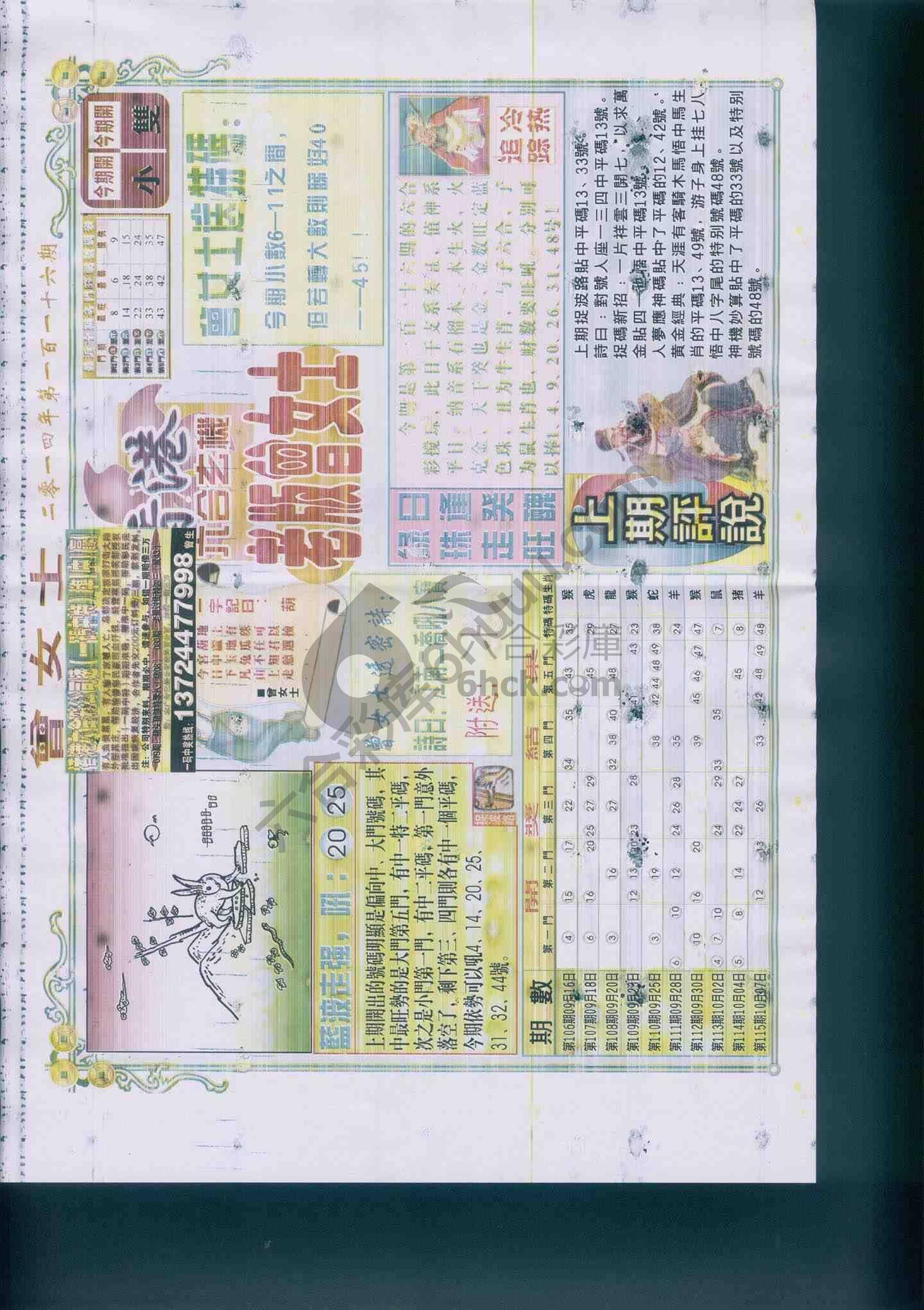 老版曾女士