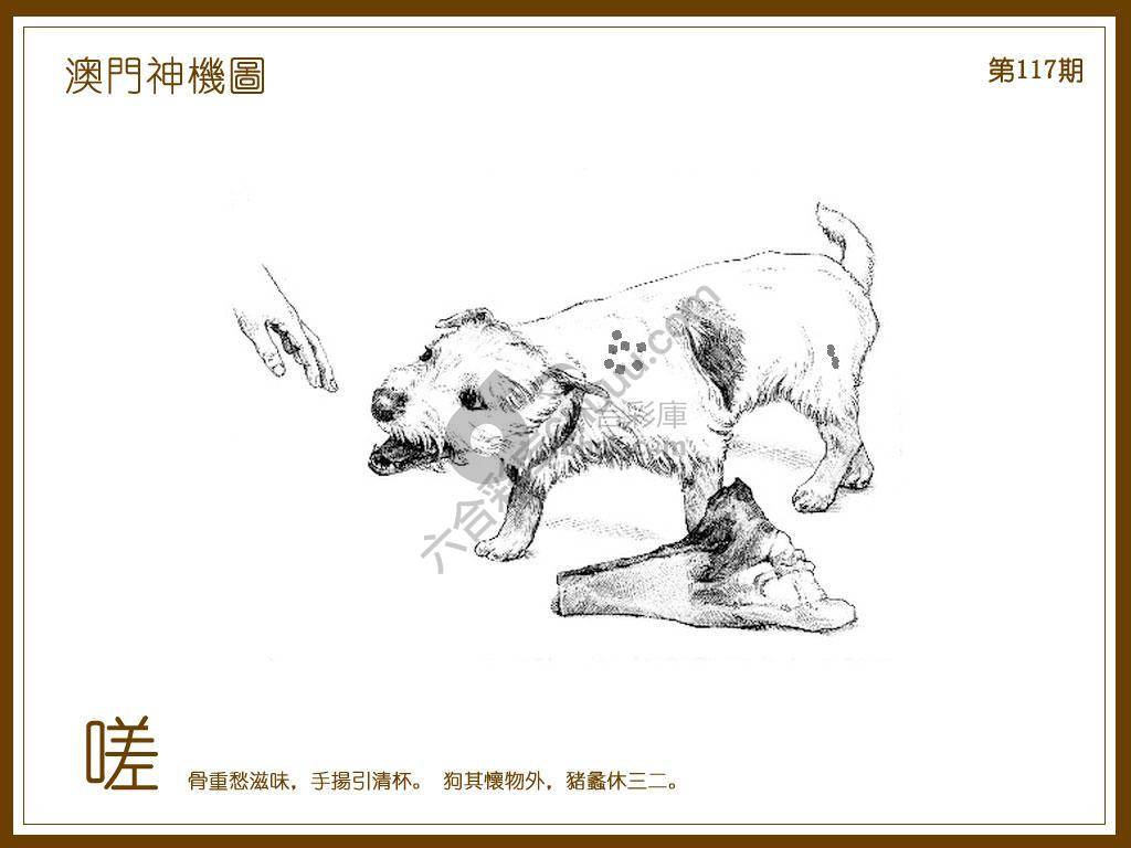澳门神机图