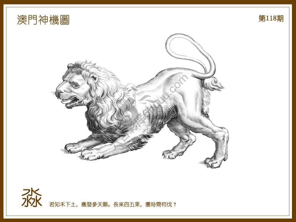 澳门神机图
