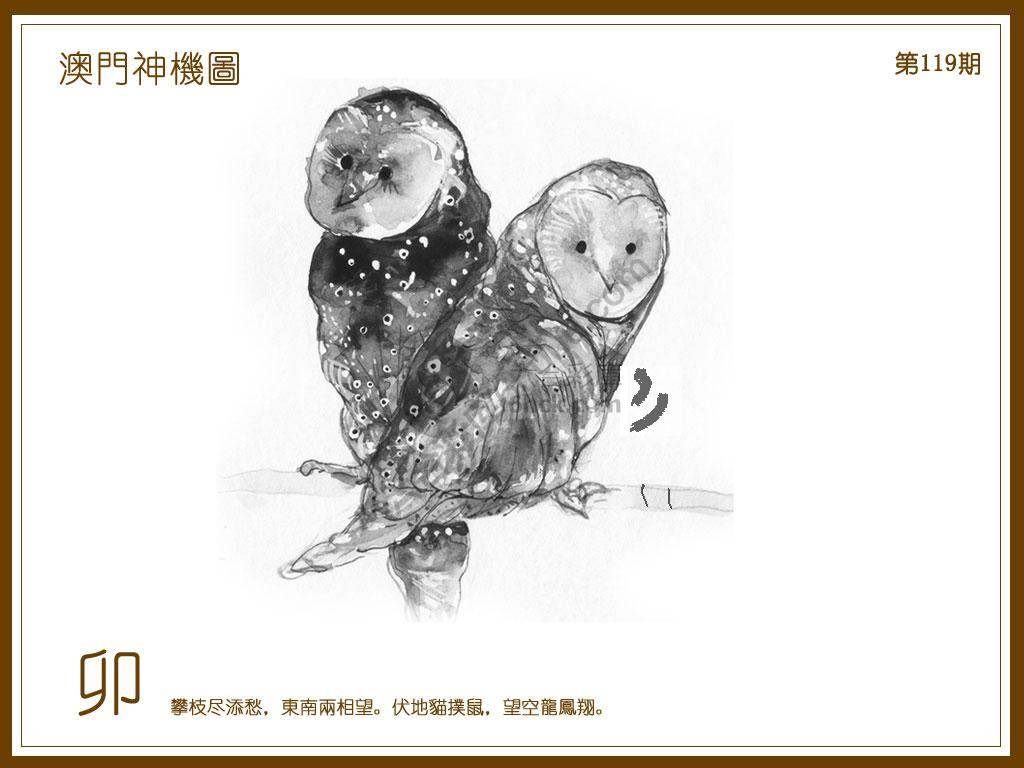 澳门神机图