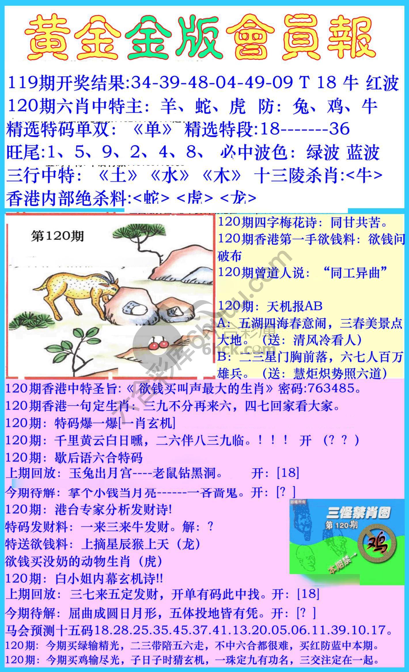 黄金金版会员报