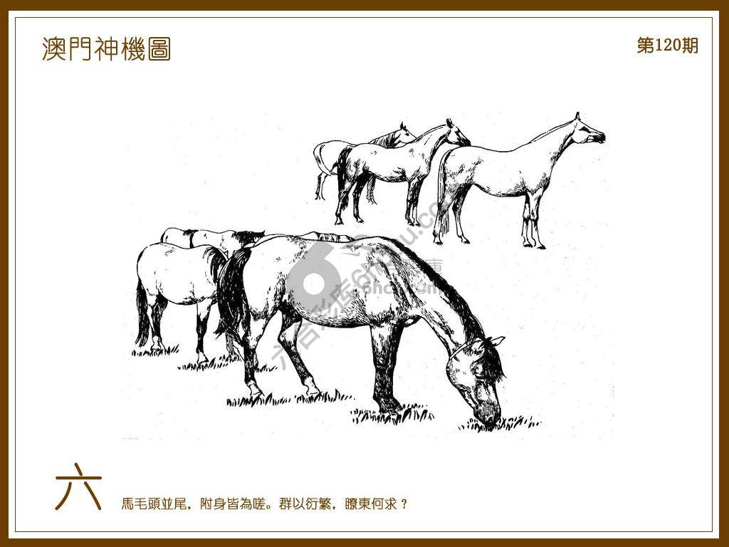 澳门神机图