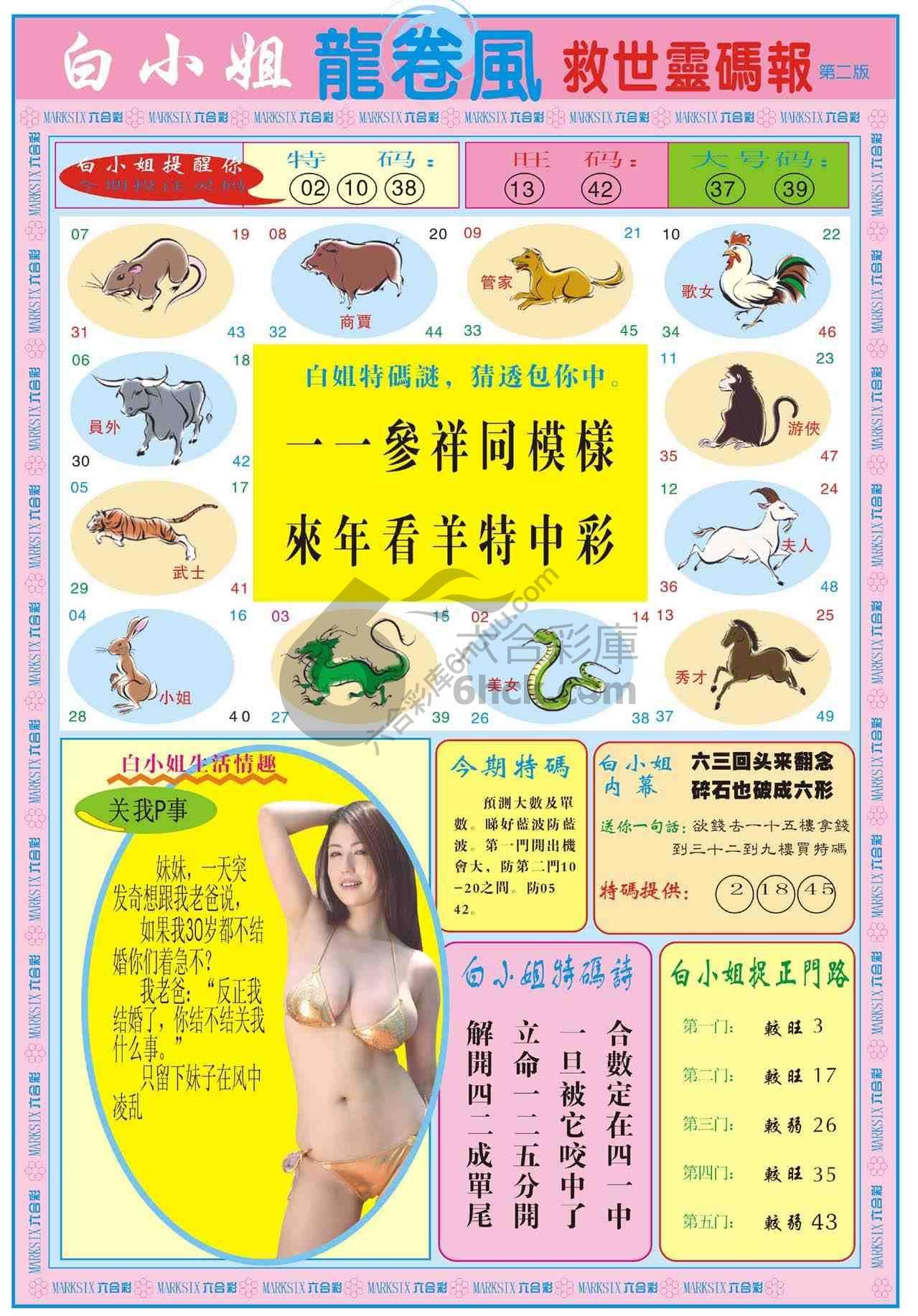白小姐救世灵码报