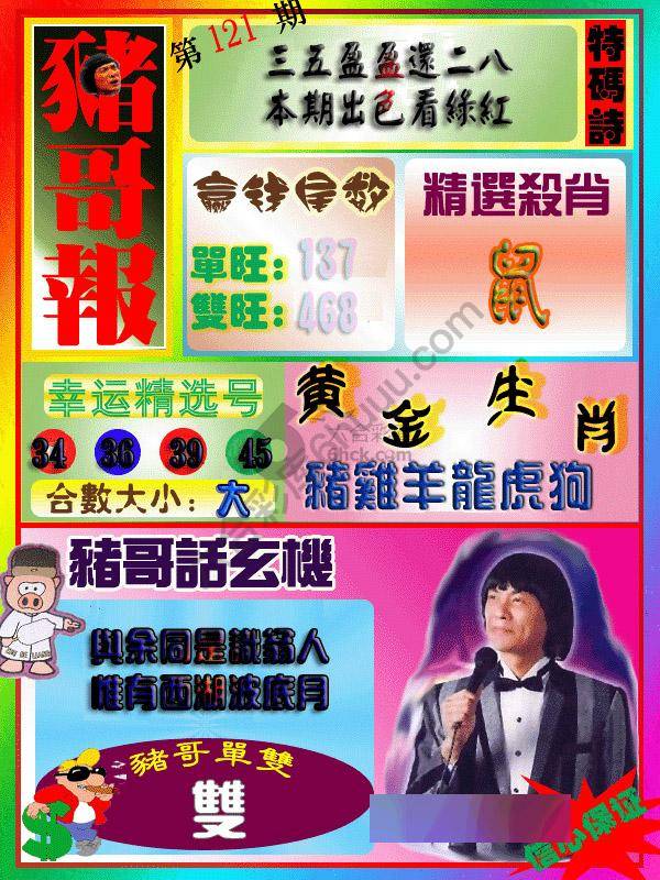猪哥报