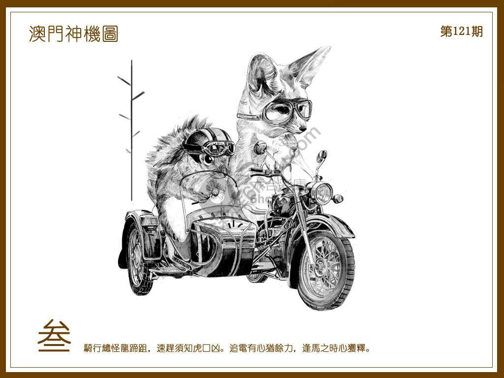 澳门神机图