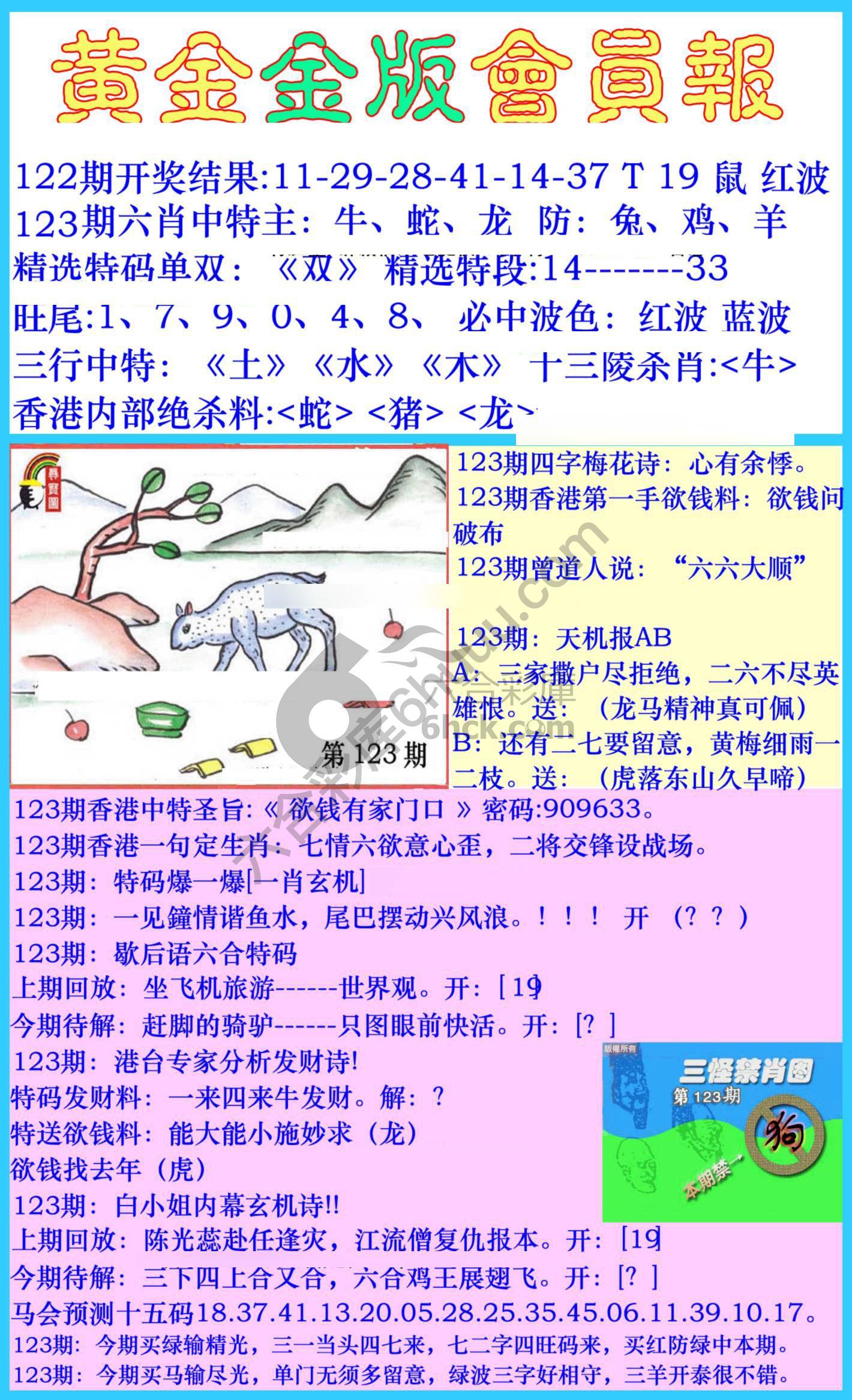 黄金金版会员报