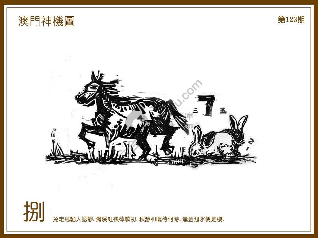 澳门神机图