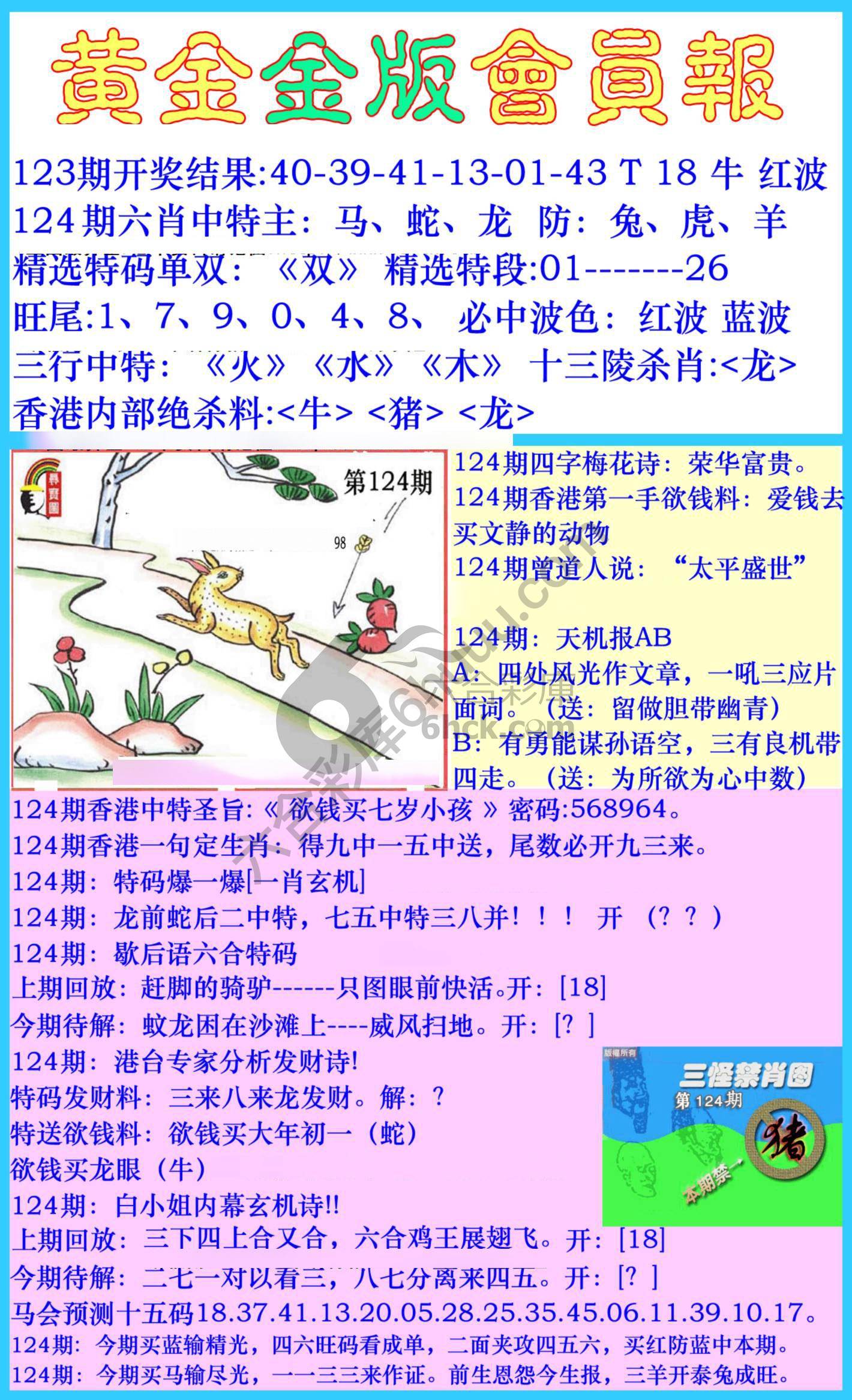 黄金金版会员报