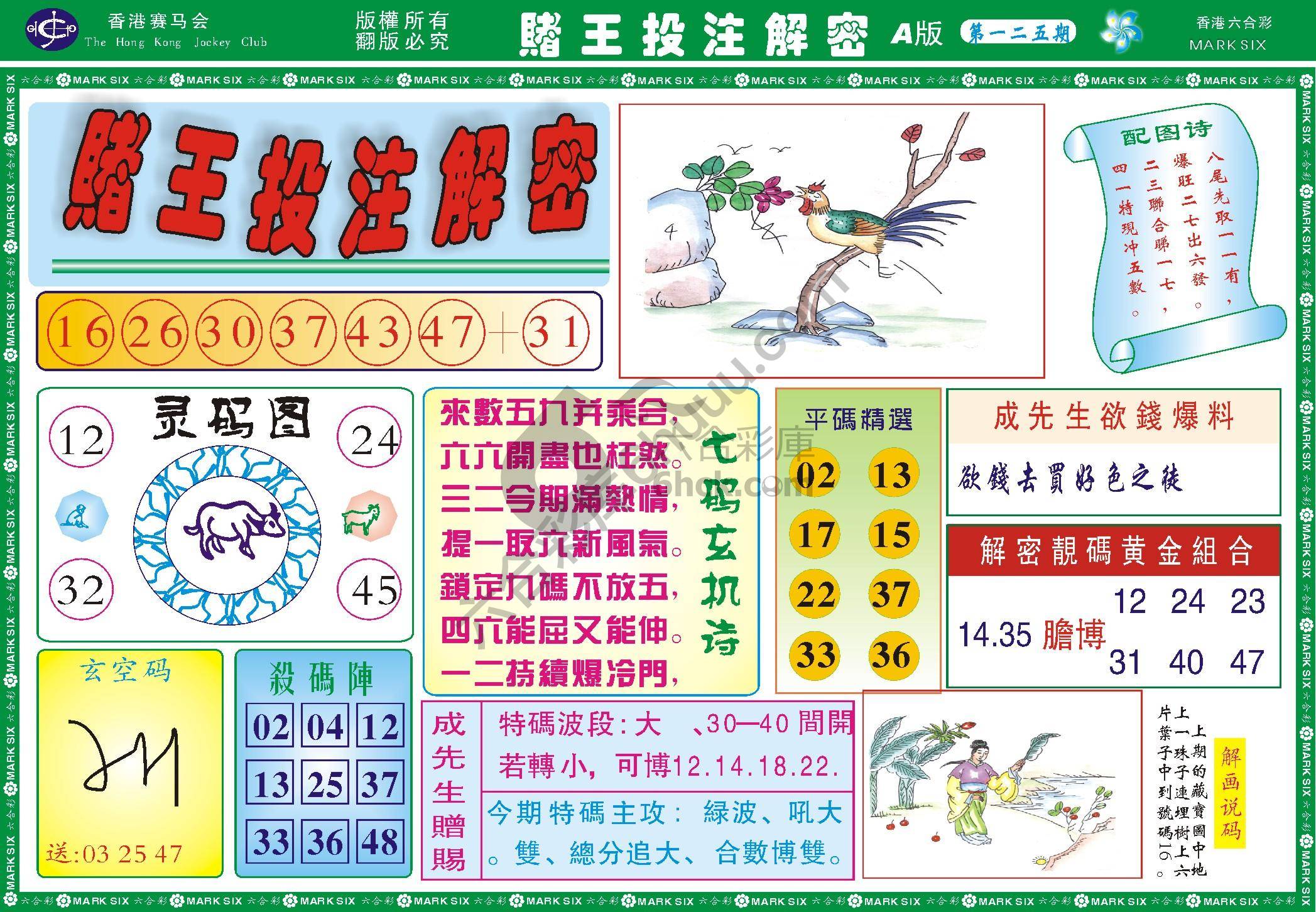 赌王投注解密