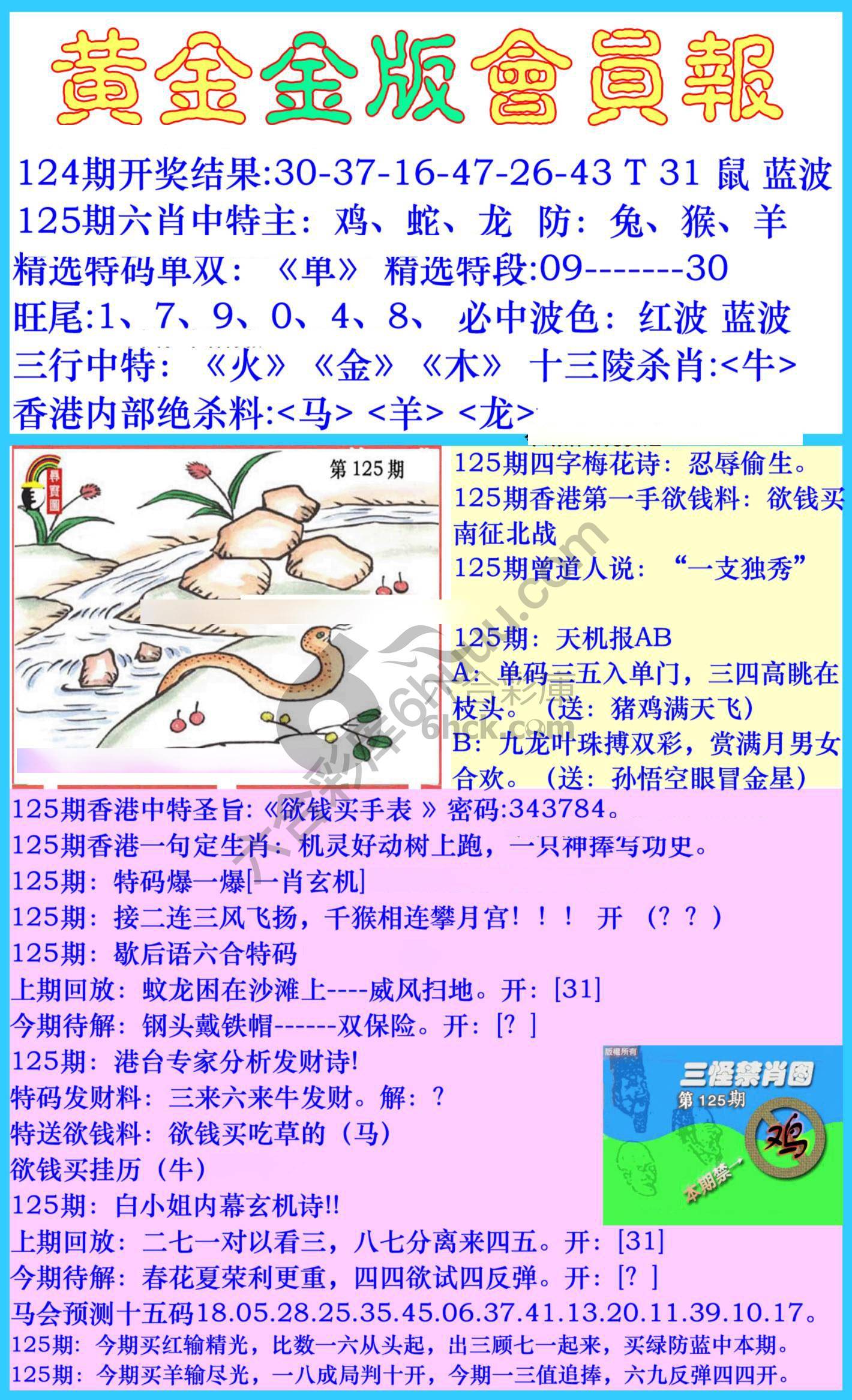 黄金金版会员报