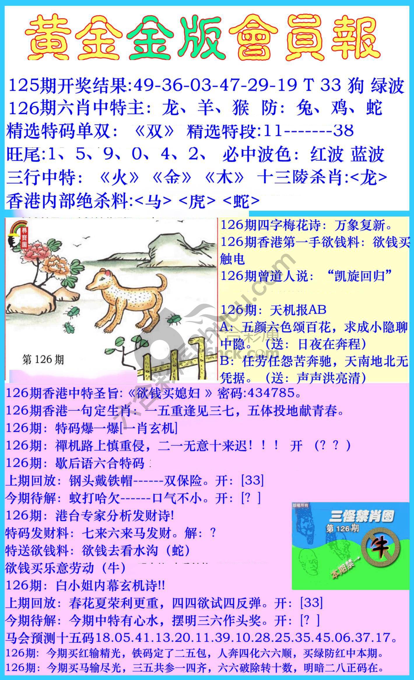 黄金金版会员报