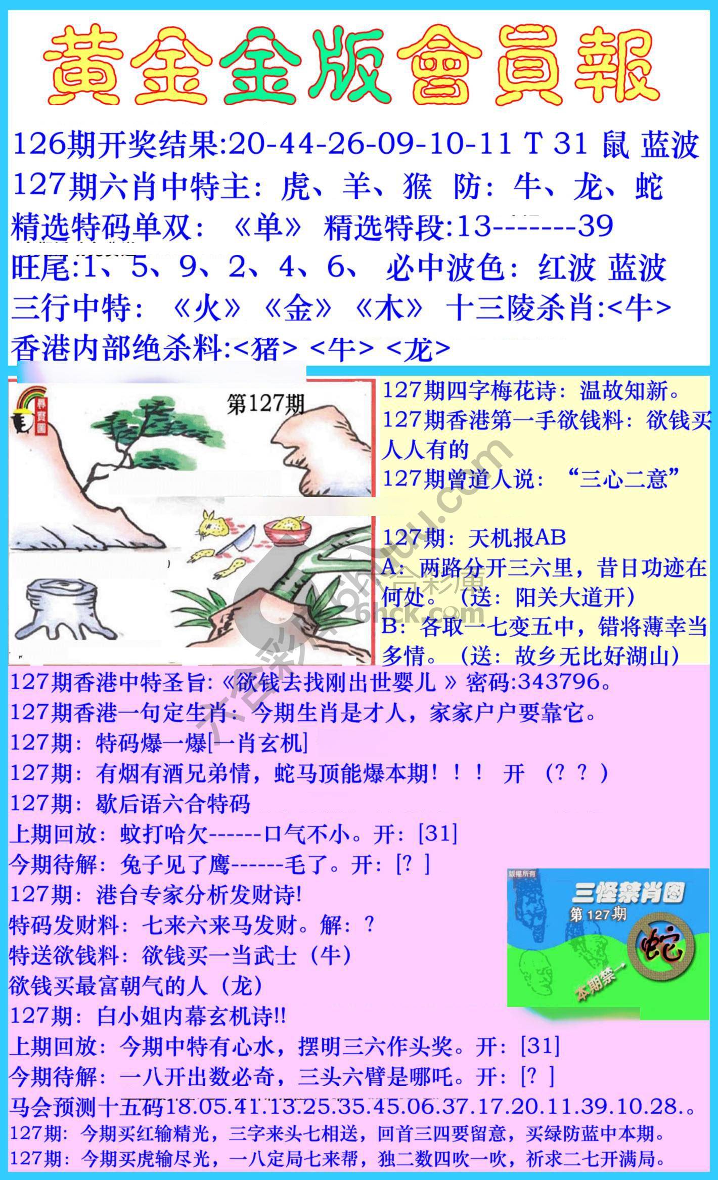 黄金金版会员报