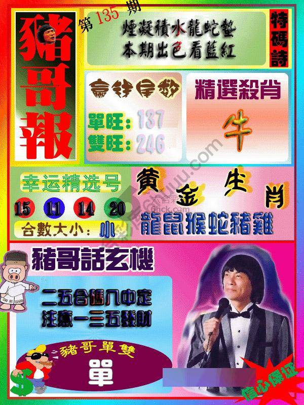 猪哥报