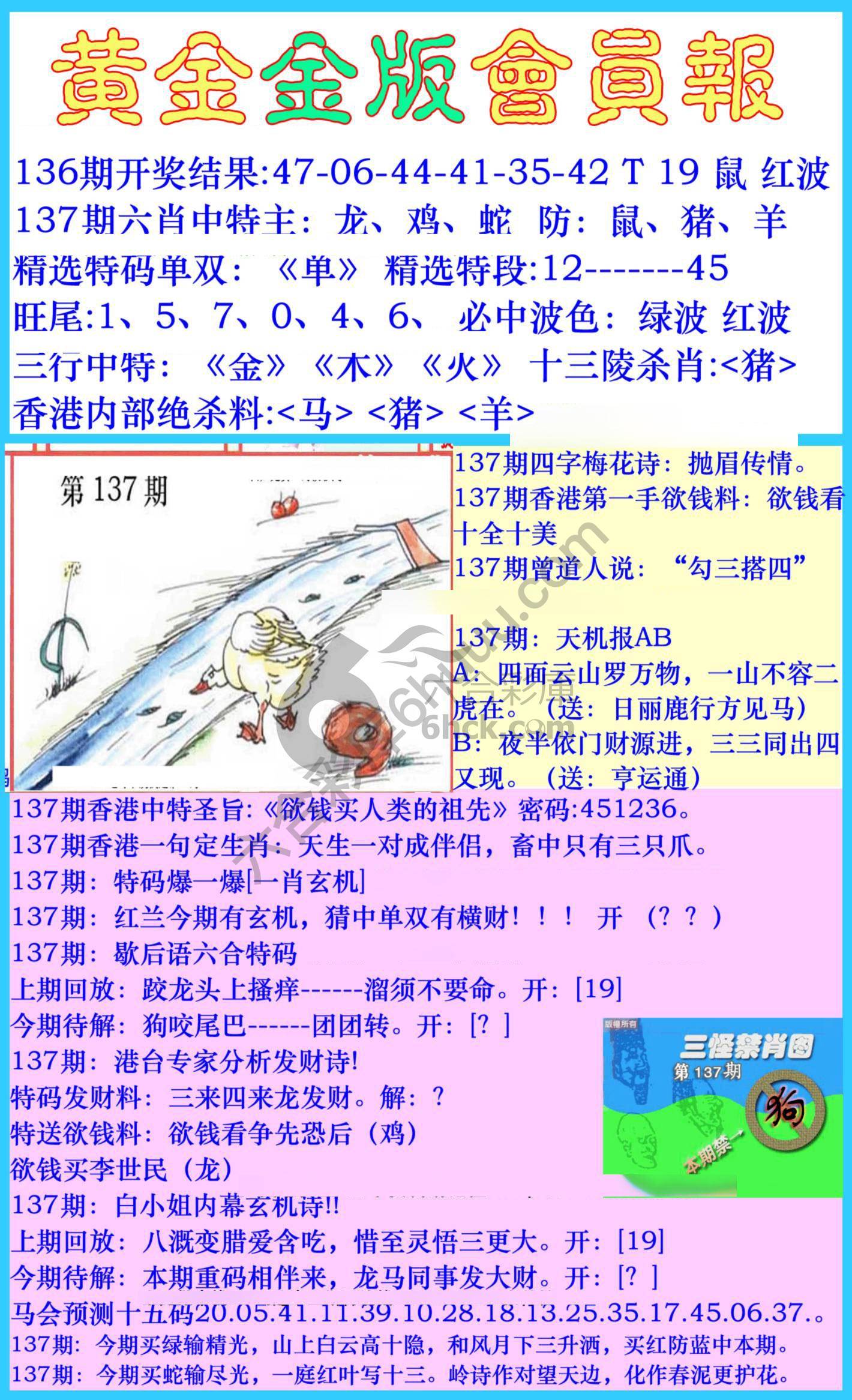 黄金金版会员报