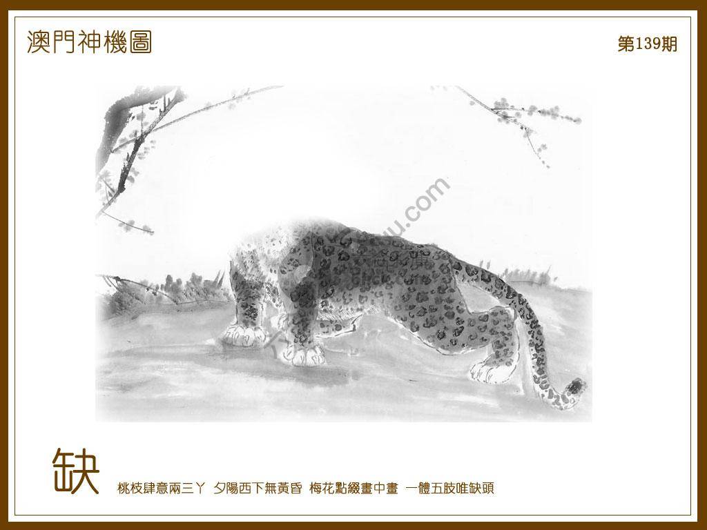 澳门神机图