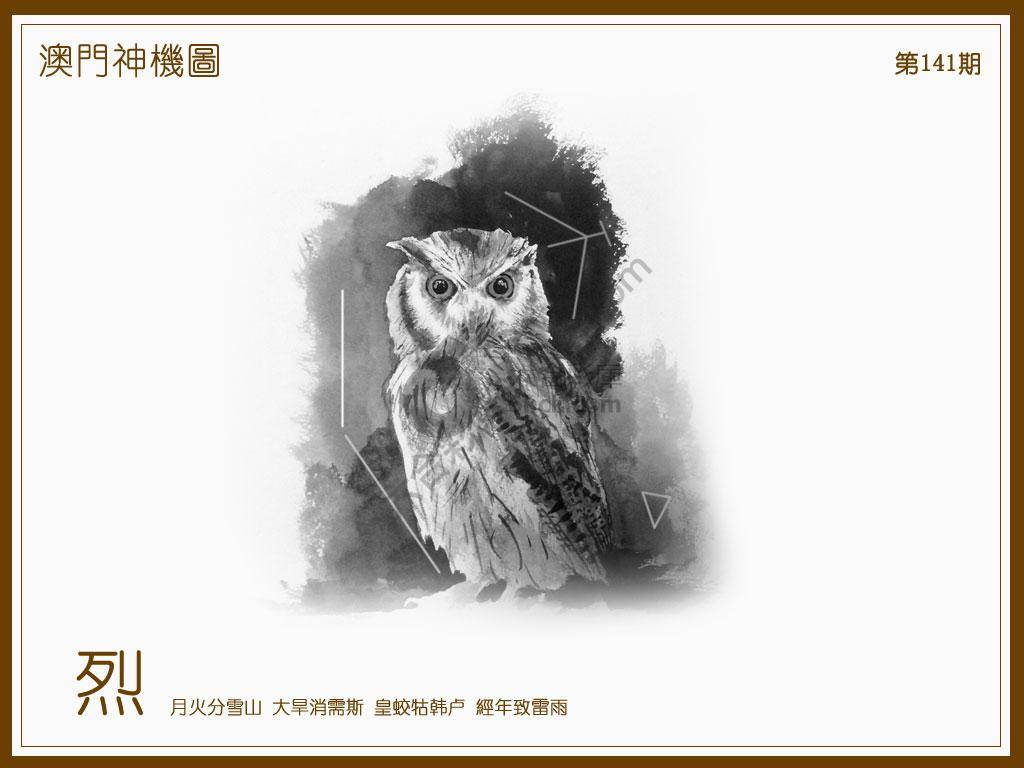 澳门神机图