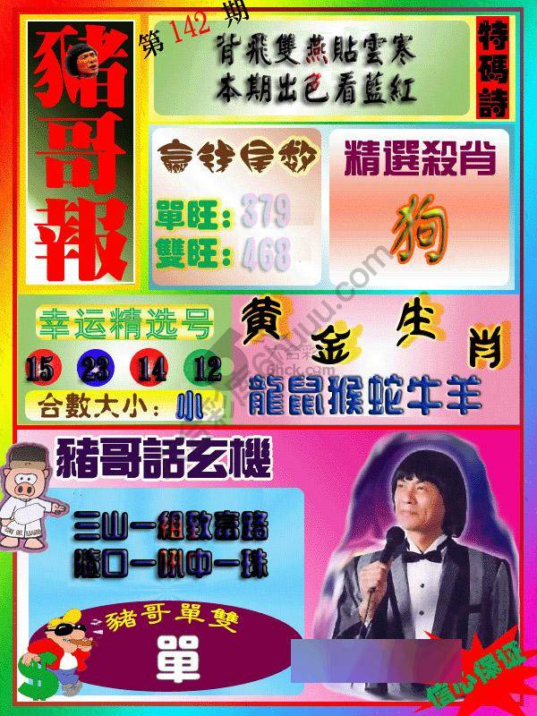 猪哥报