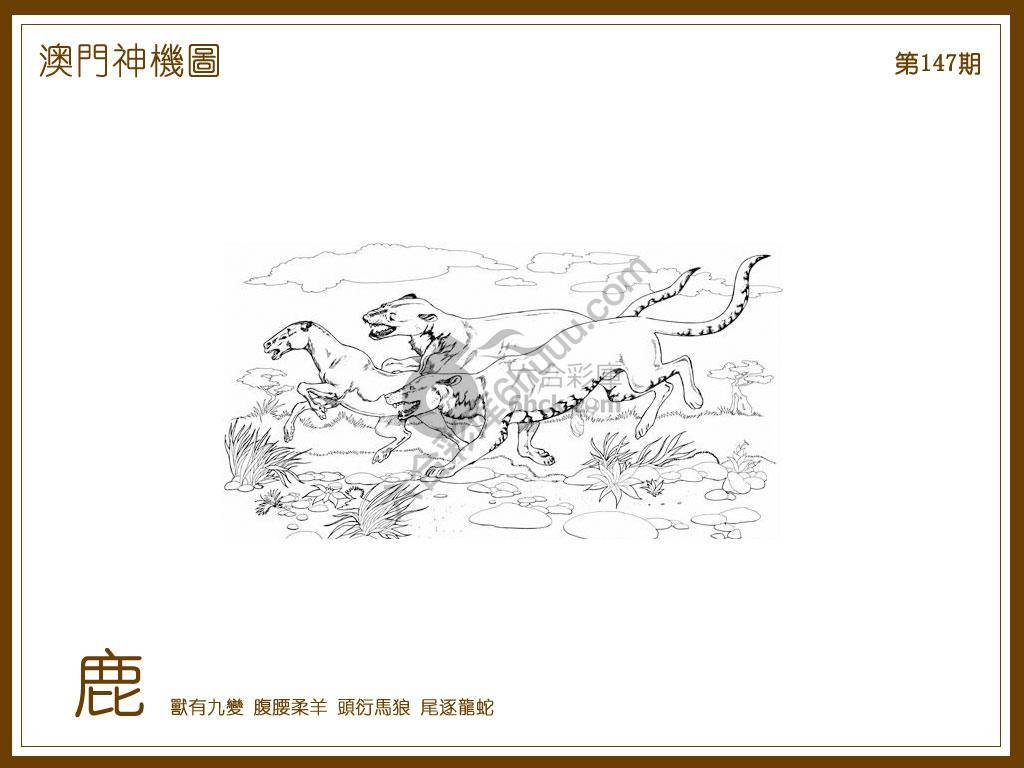 澳门神机图