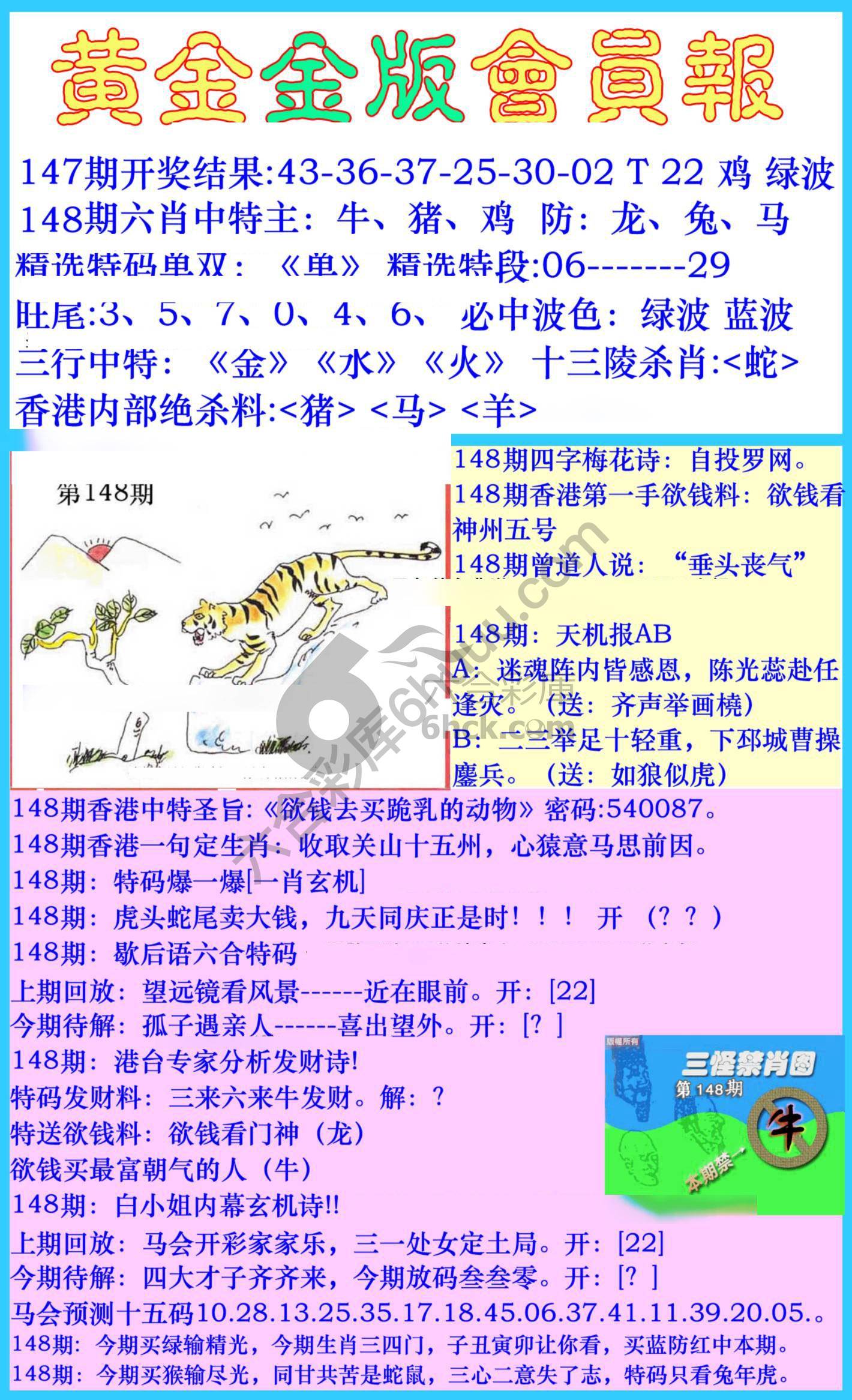 黄金金版会员报