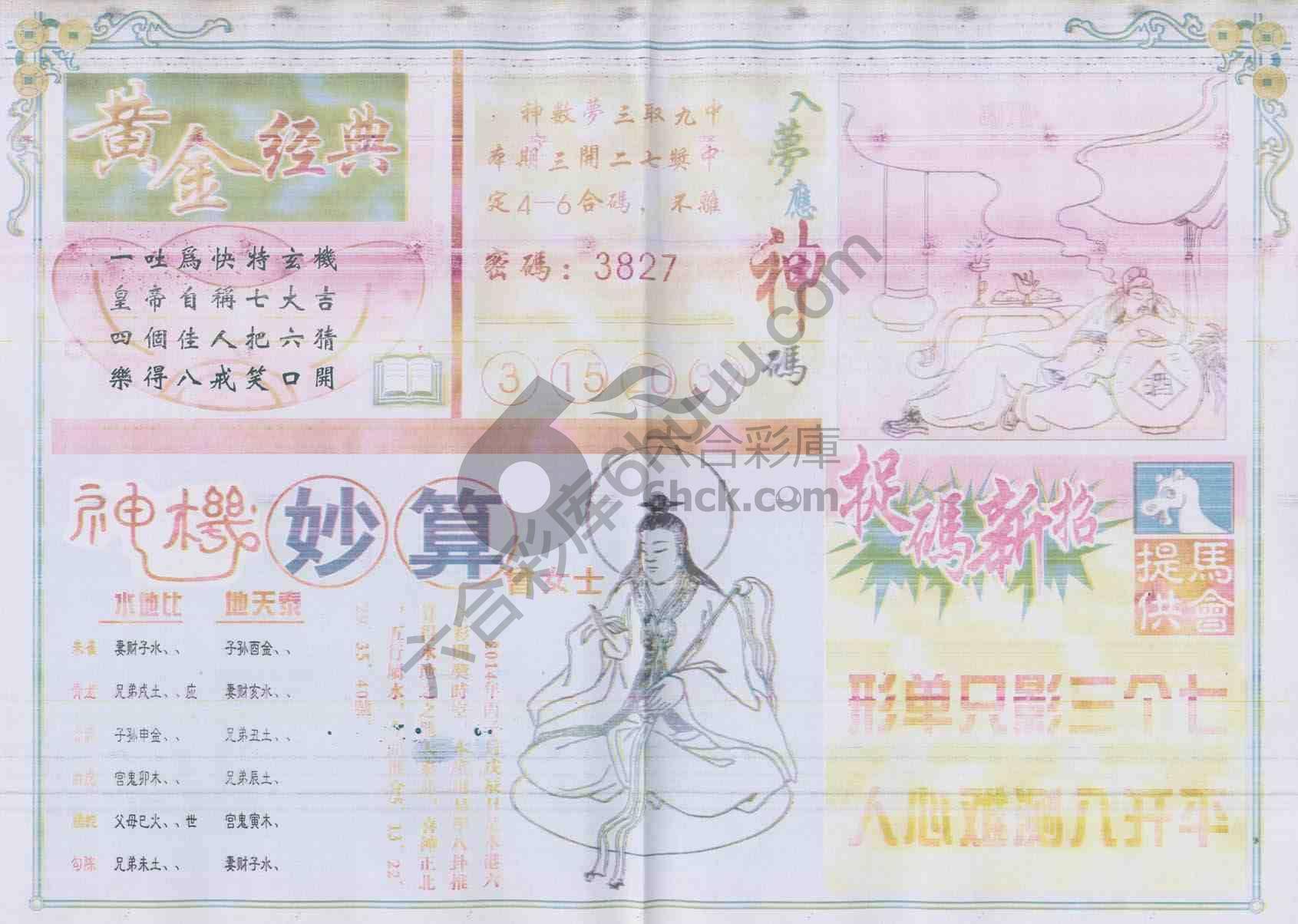 老版曾女士