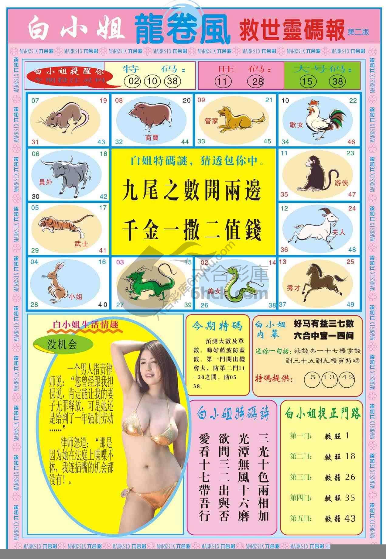 白小姐救世灵码报