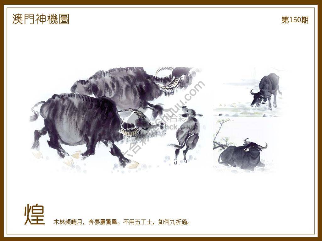 澳门神机图