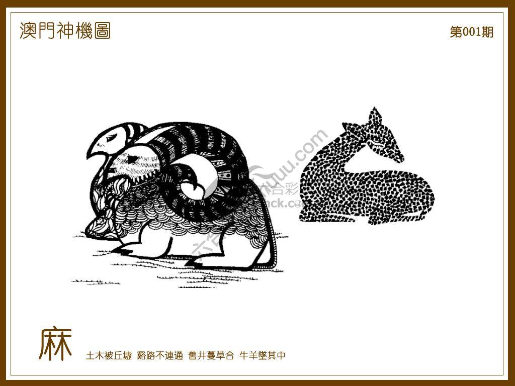 澳门神机图