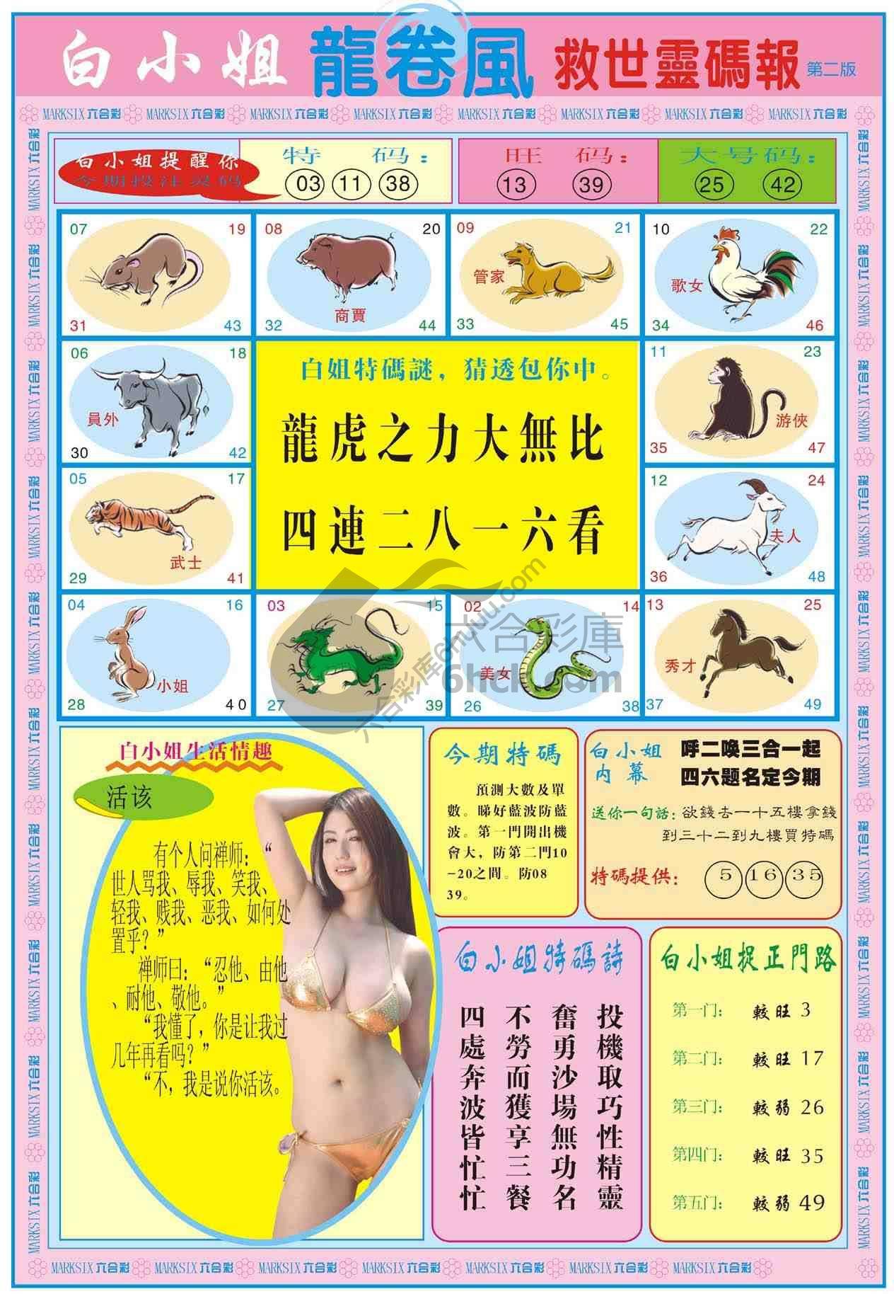 白小姐救世灵码报