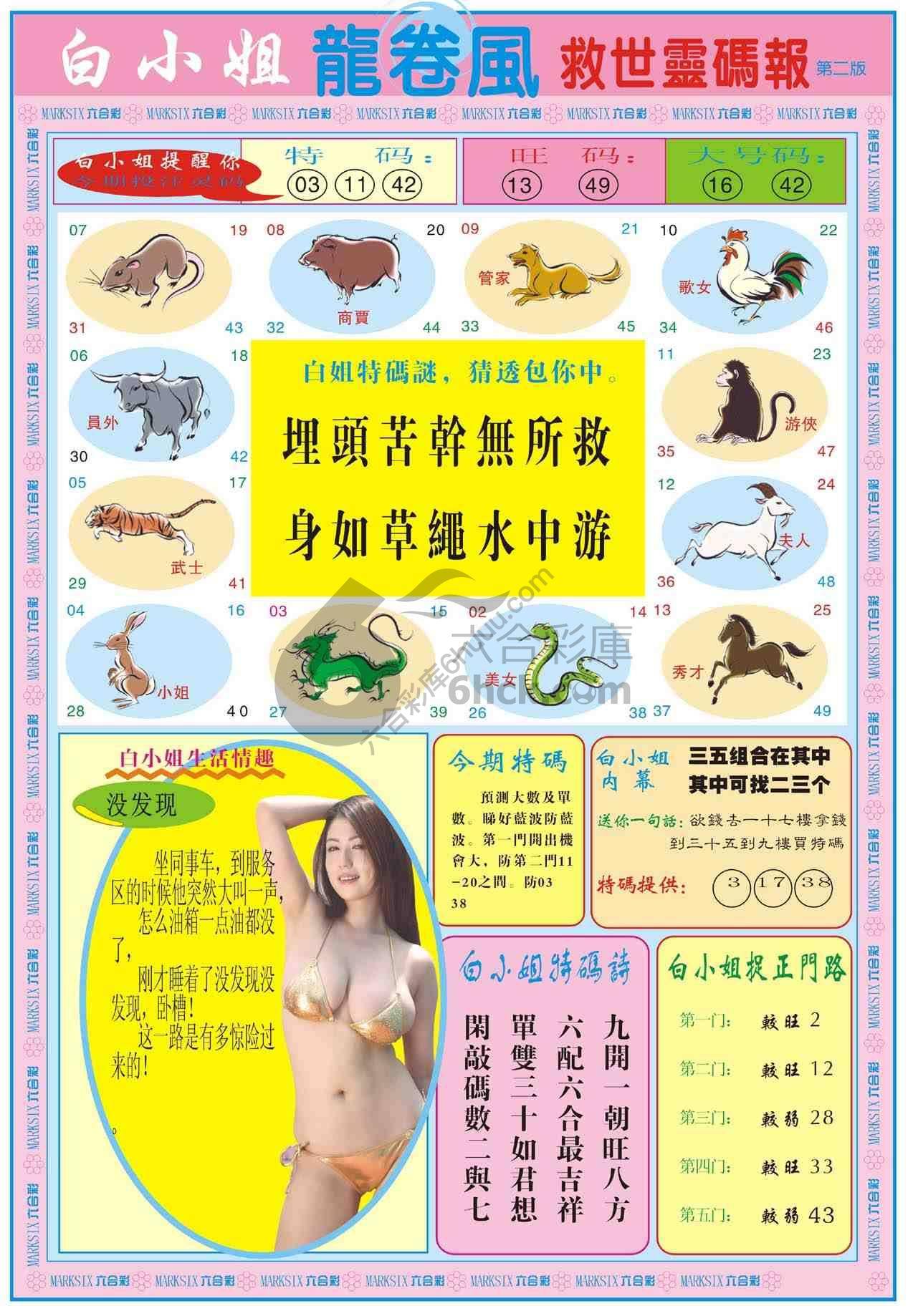 白小姐救世灵码报