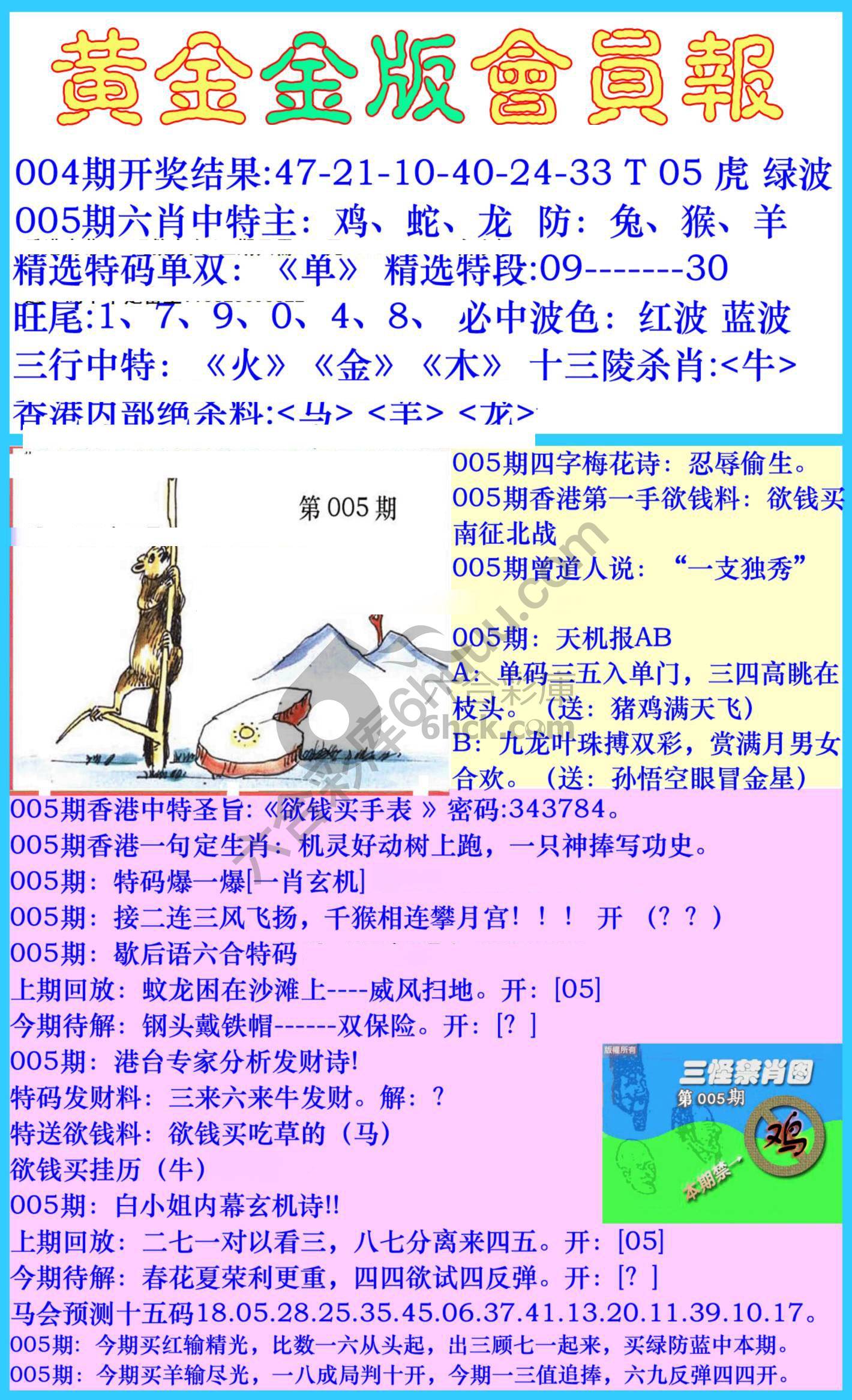 黄金金版会员报