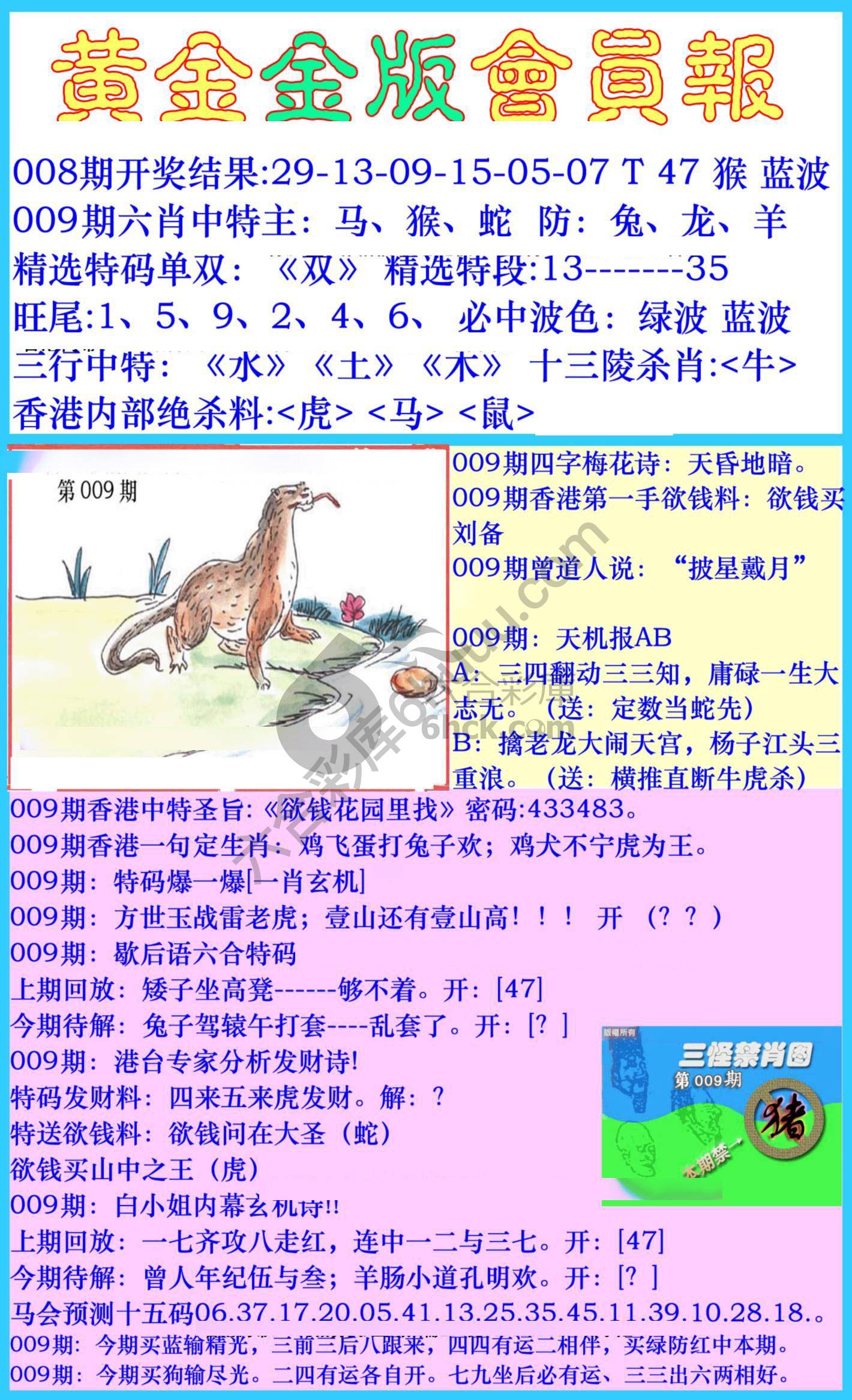 黄金金版会员报